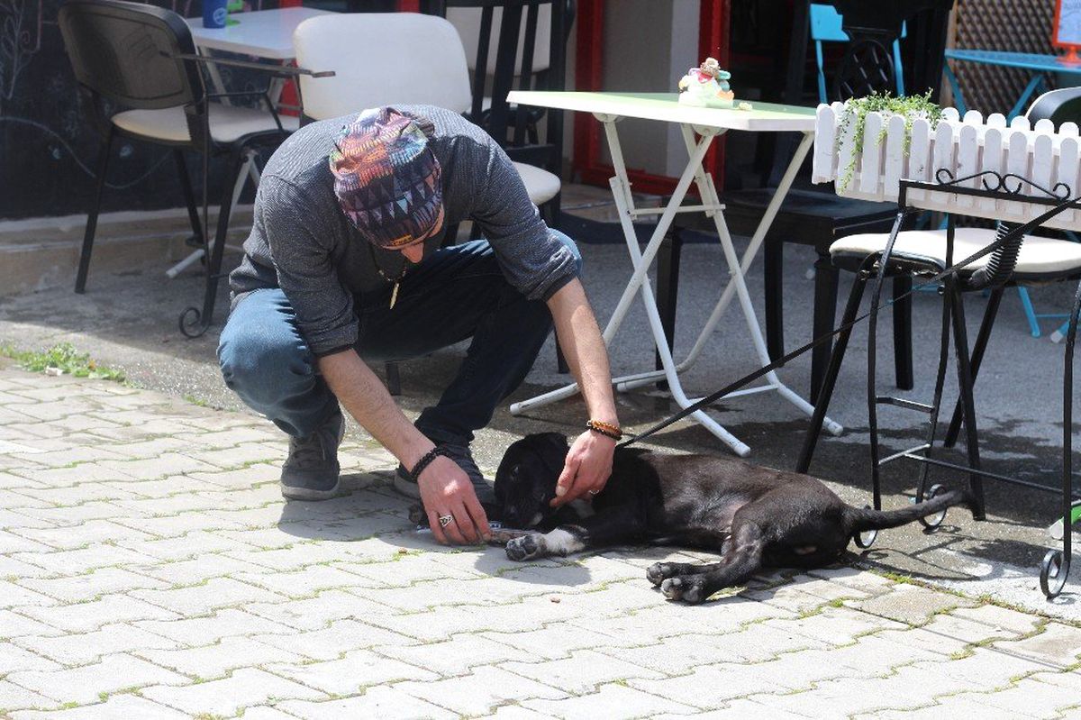 Yemek Sipariş Veren Müşterilerine Beraberinde Kuru Mama Gönderiyor