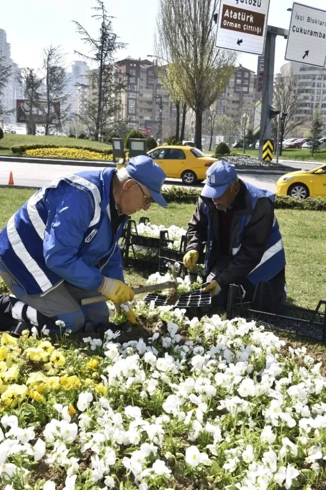 Ankara Büyükşehir Belediyesi Anfa Genel Müdürlüğü Bir İlke İmza Atıyor