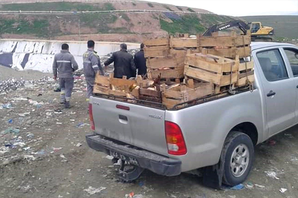 Elazığ\'da Kaçak Avlanılan 900 Kilogram Sazan ve Turna Ele Geçirildi