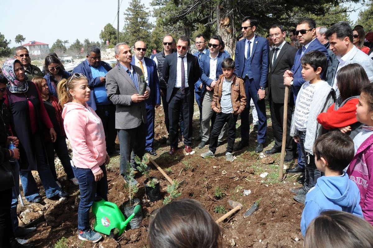Erdemli\'de Adalet Ormanı Kuruldu