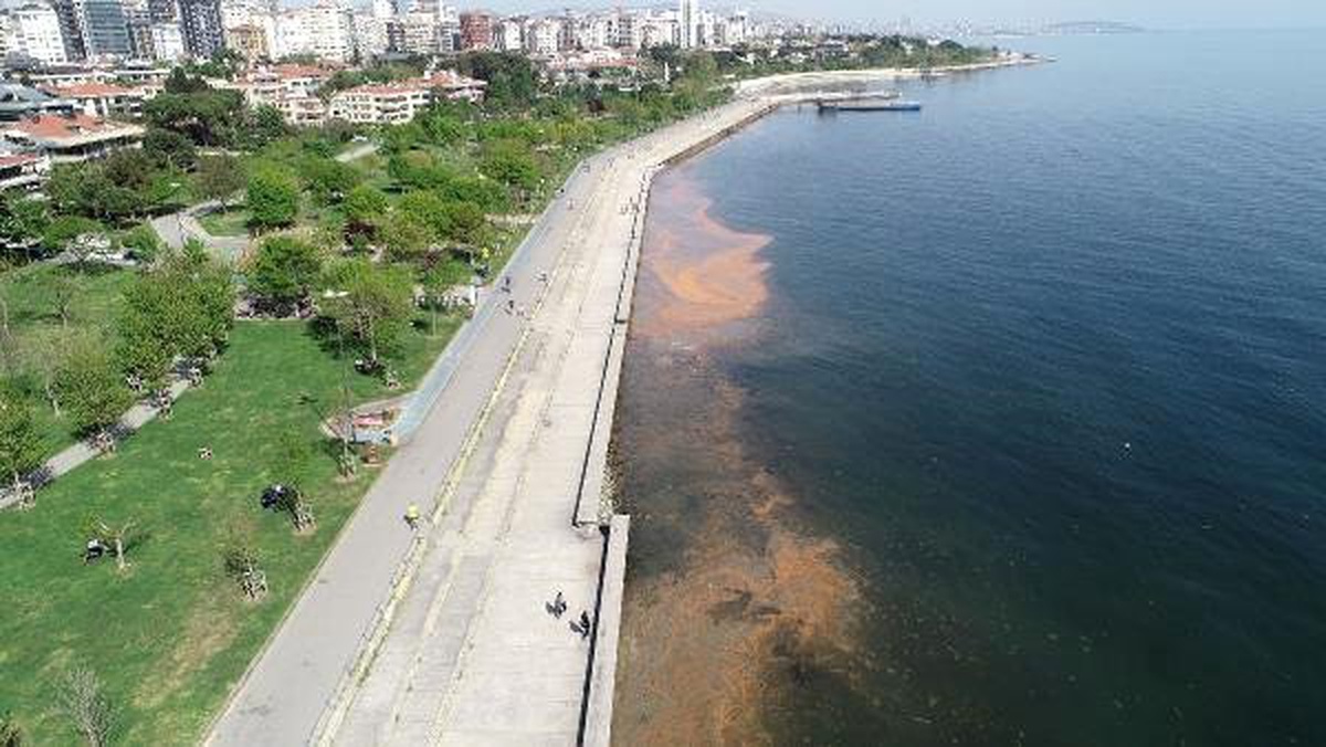Havadan Fotoğraflarla) Kadıköy Sahili de Turuncuya Büründü