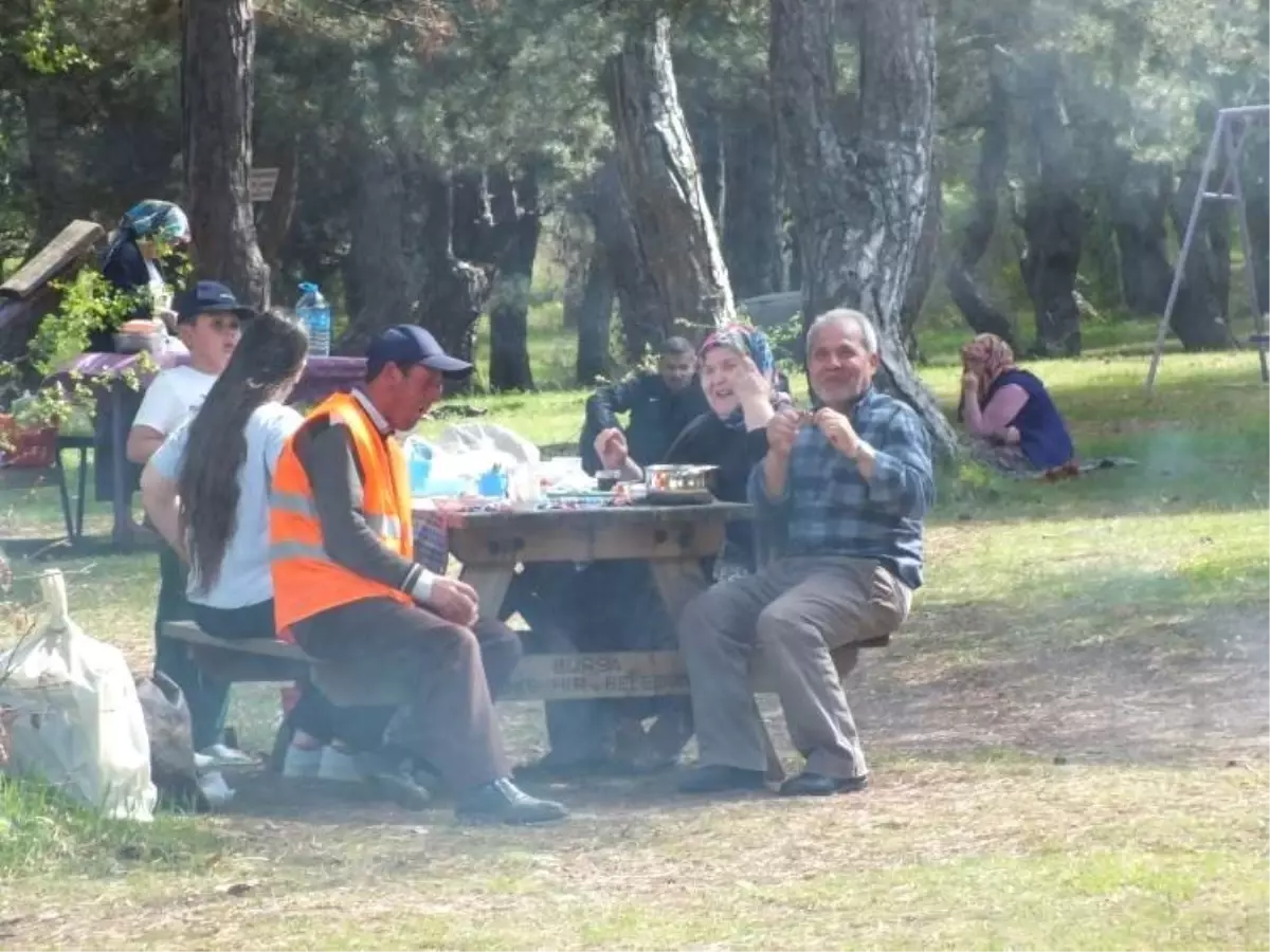 Küçükelmalı Tabiat Parkı\'na Ziyaretçi Akını