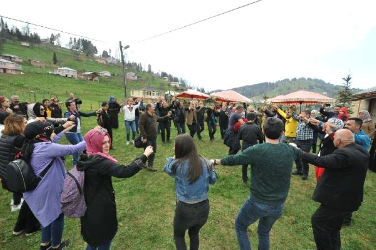 Mor Yayla\'ya Hafta Sonu Ziyaretçi Akını