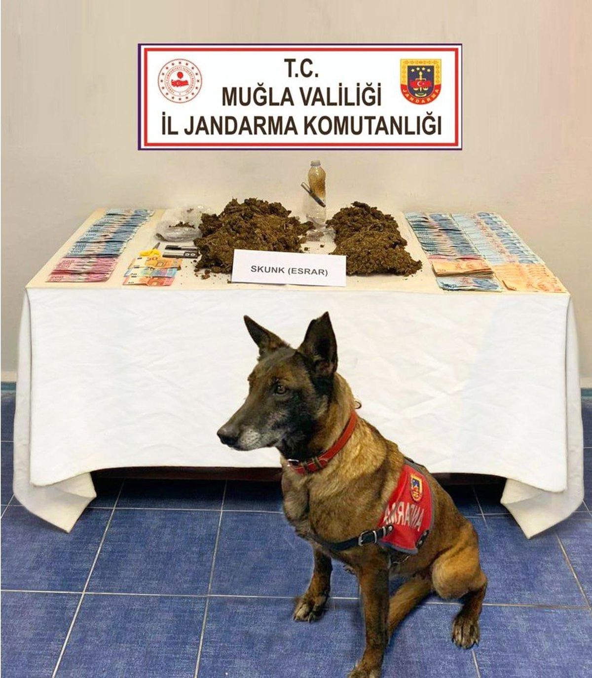 Narkotik Köpek \'Çimen\'den Kaçış Yok