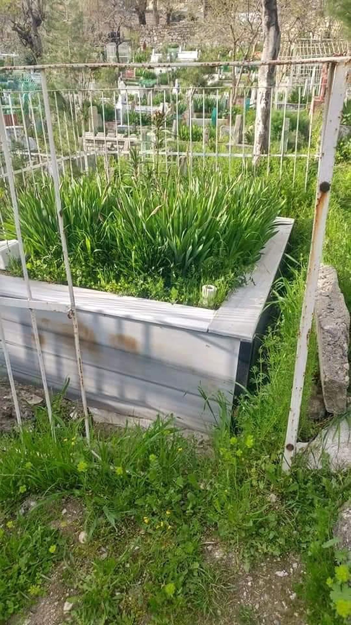 Silvan\'da Mezarlık Demirleri Çalındı