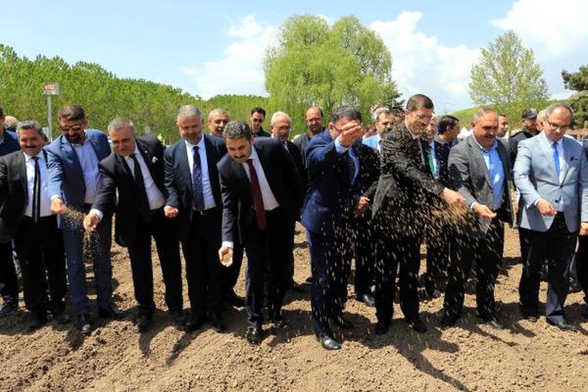 Tokat\'ta Kenevir Ekimi Yapıldı