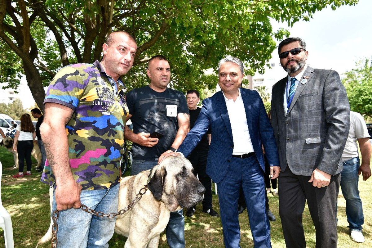 Uysal\'dan Yerellik Vurgusu