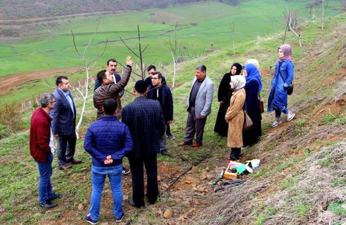 Bingöl\'de Uygulamalı Ceviz Yetiştiriciliği Eğitimi