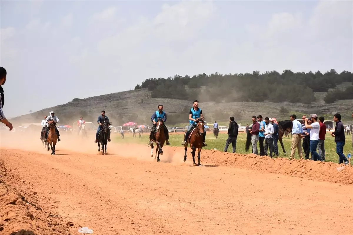 Dazkırı\'da At Yarışları