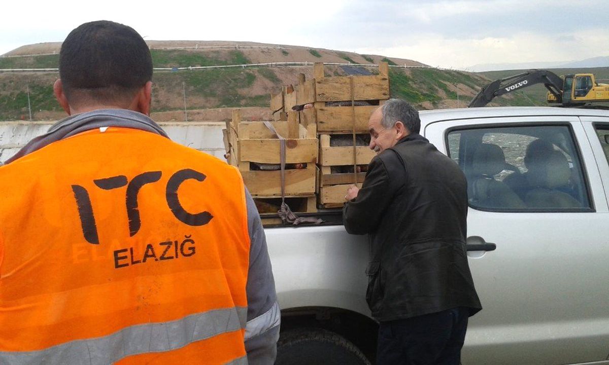 Elazığ\'da 900 Kilo Kaçak Avlanan Balık Yakalandı