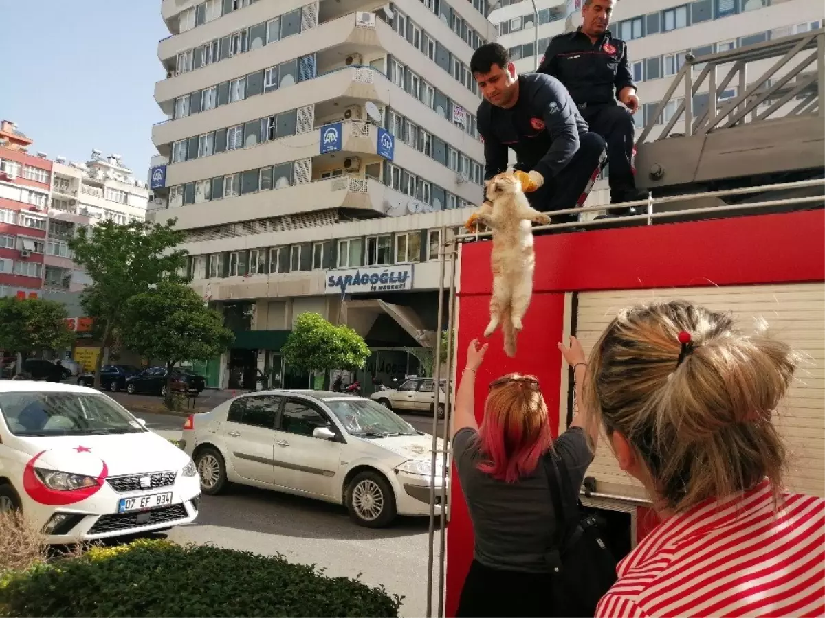 Genç Kadın Kedisi İçin Ağladı