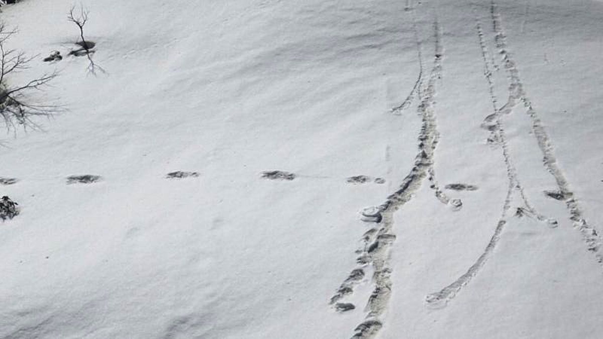 Hindistanlı Asker Dağcılar Kar Canavarının Ayak İzlerini Bulduklarını İleri Sürdü
