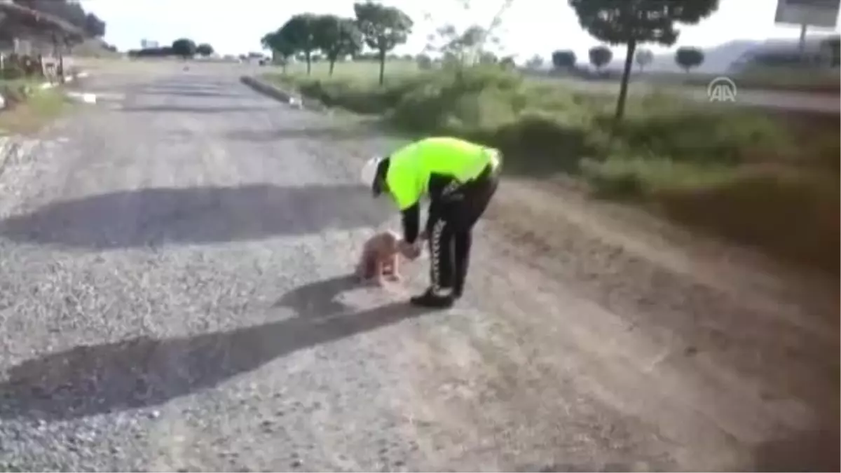 Kafası Bidona Sıkışan Köpeği Polis Kurtardı