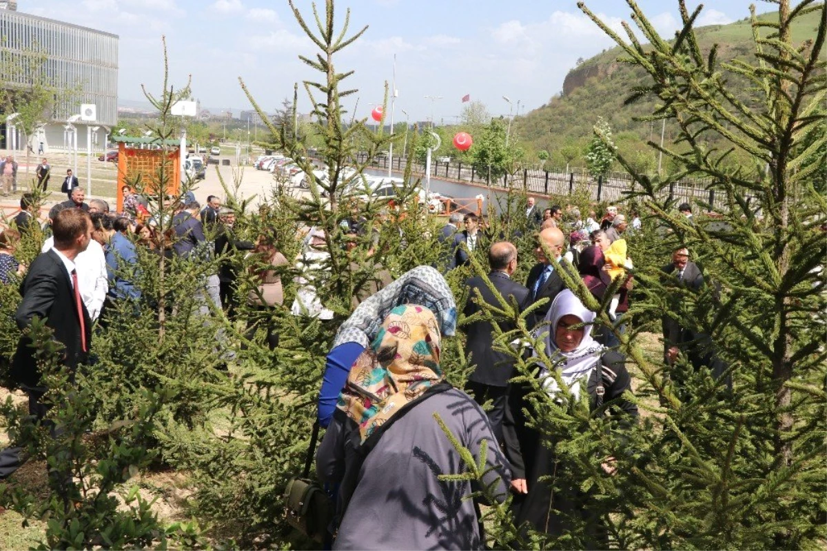 Karabük Valiliğinden, Şehit Ailelerini Duygulandıran Fidanlık