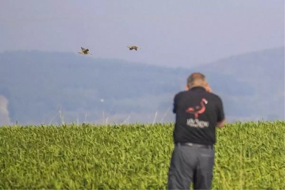 Karacabey, Yüzlerce Kuş Fotoğrafçısına Ev Sahipliği Yaptı