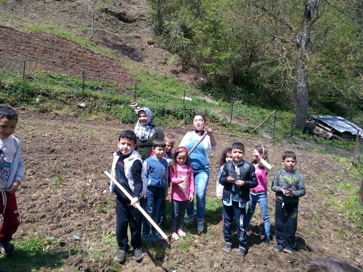 Minik Eller Toprakla Buluşuyor" Projesi