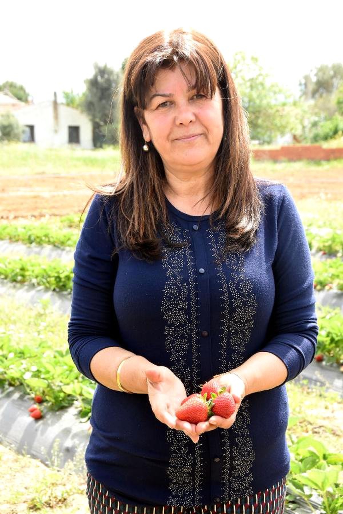 Urla\'da Yetişmez Denilen Çilek Geçim Kaynağı Oldu