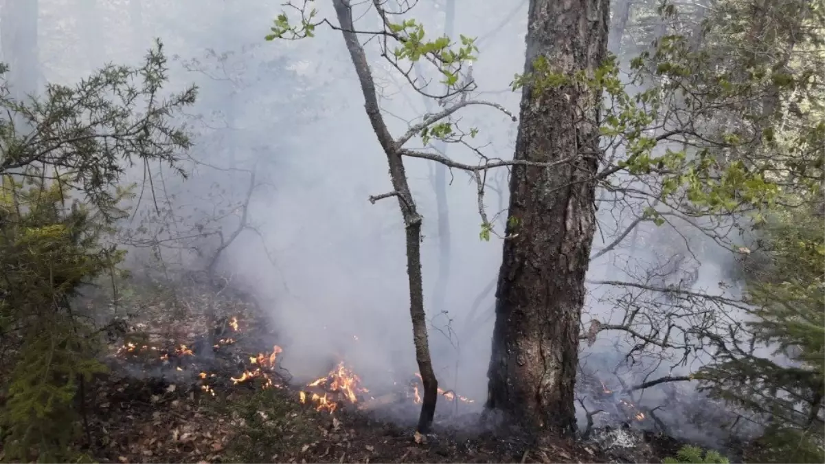 Yıldırım Düşmesi Sonrası Çıkan Yangınlar Büyümeden Söndürüldü
