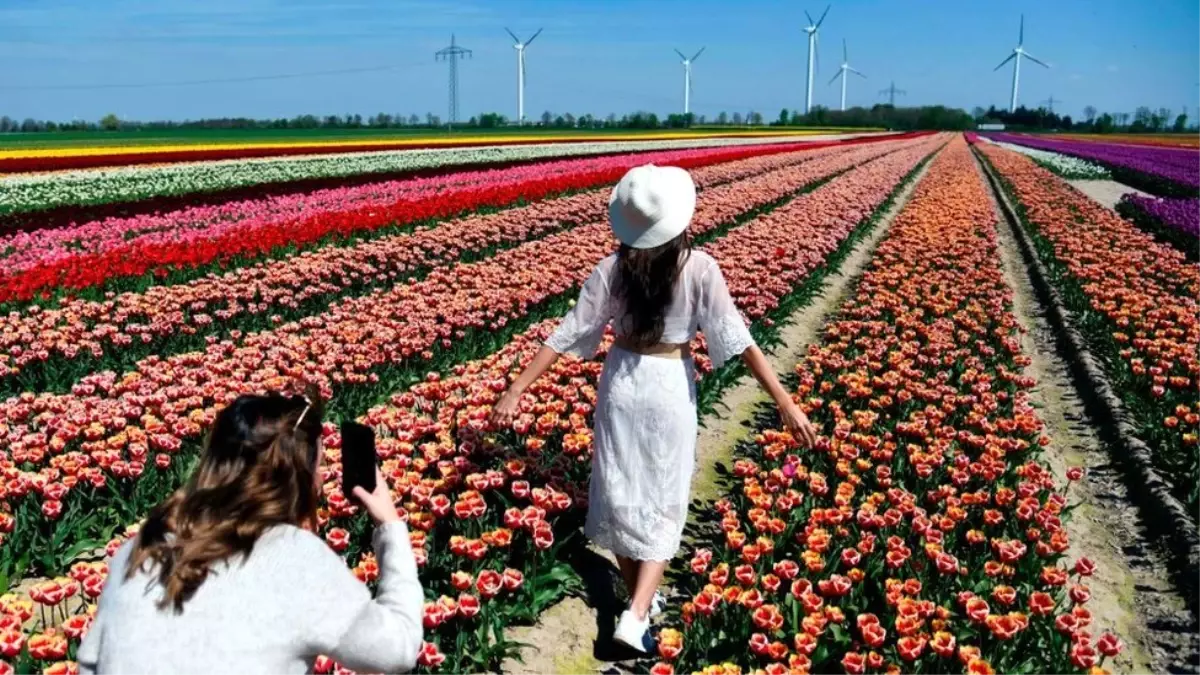 Instagram Popülerlik Rekabetini Engellemek İçin \'Beğeni\'leri Gizlemeye Hazırlanıyor