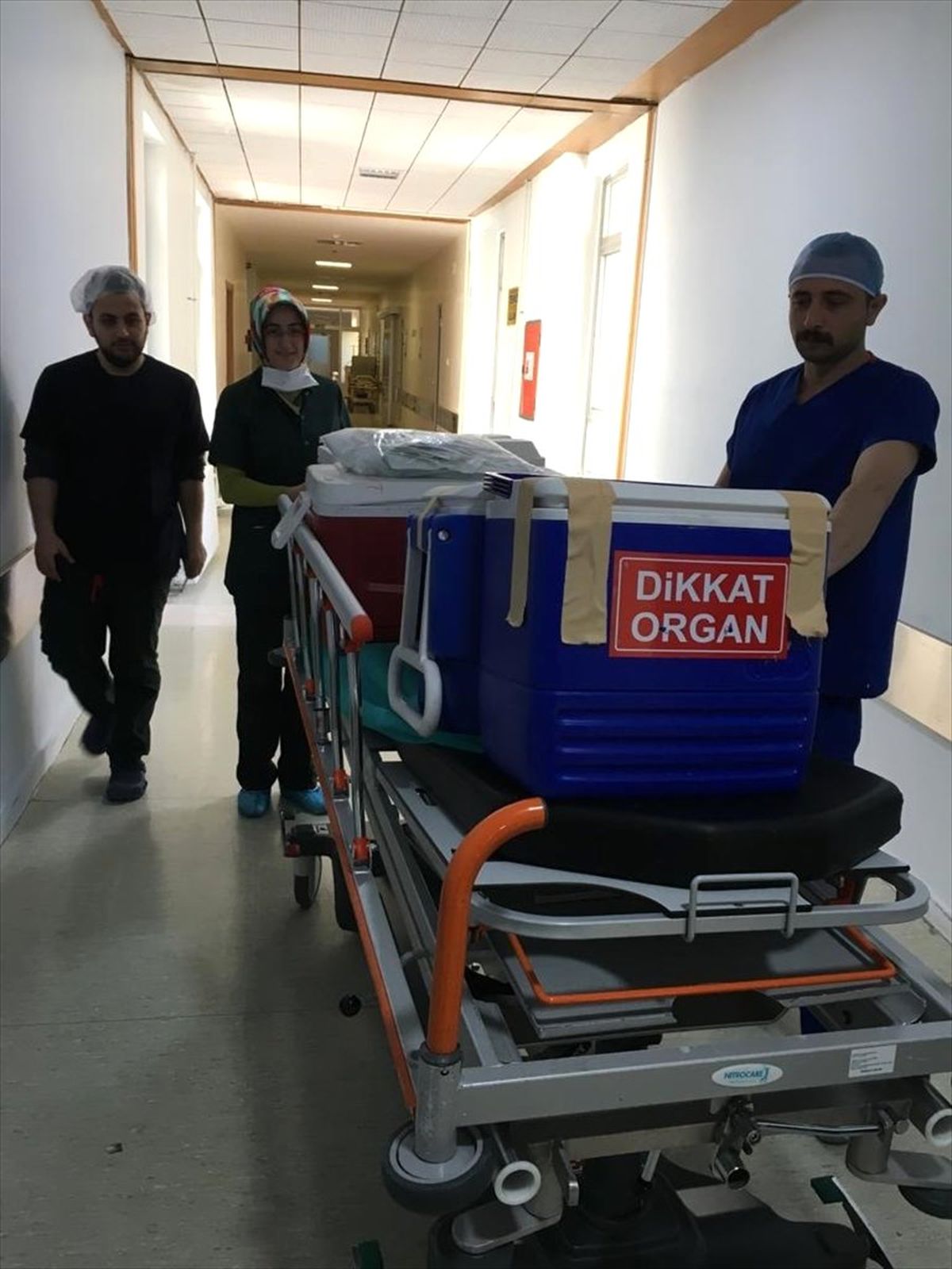 Organları ile 7 Hastaya Umut Oldu