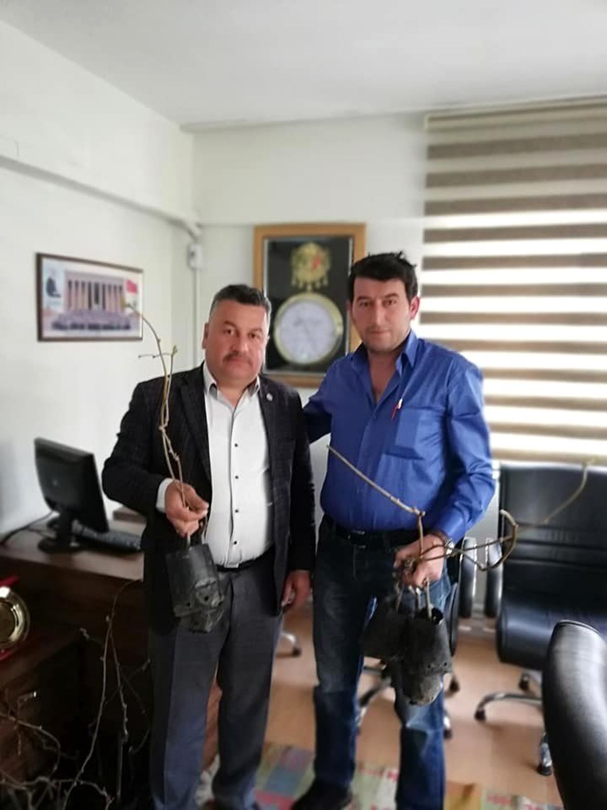 Buldan\'da Kivi Fidanı Dağıtıldı