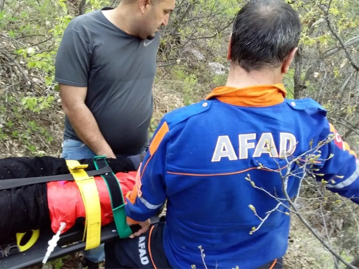 Işkın Toplarken Kayalıklardan Düştü, 3 Saatte Kurtarıldı