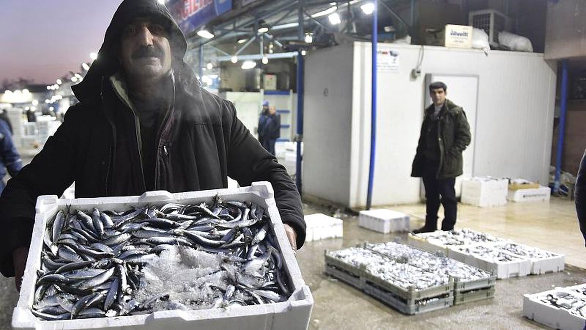 Karadeniz Hamsisi Avrupa\'da En Çok Fransa\'ya Satıldı