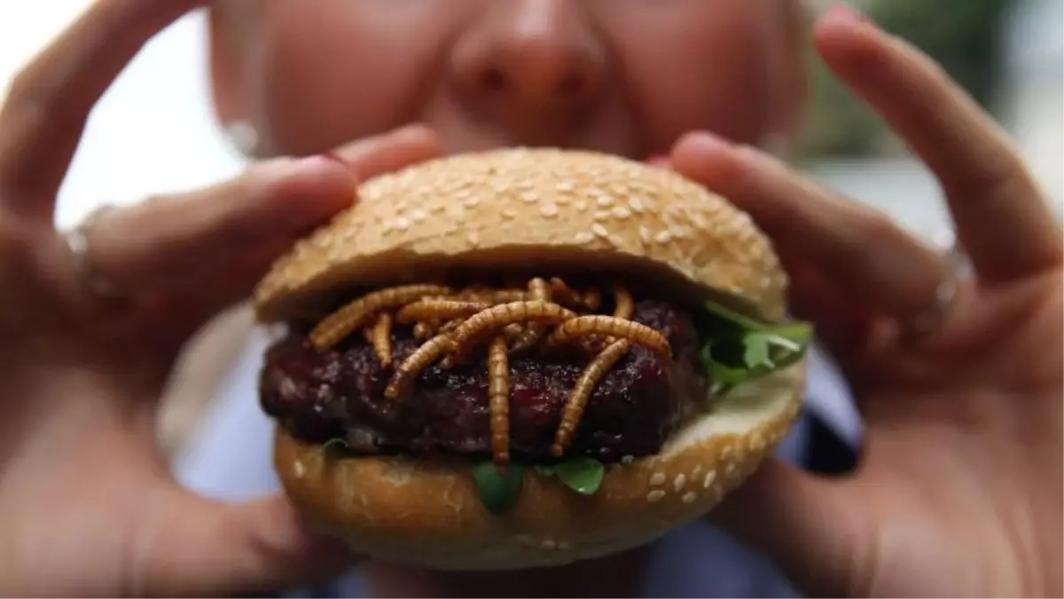 Kendinizi Şimdiden Hazırlayın, Gelecekte Proteini Böceklerden Alacağız"