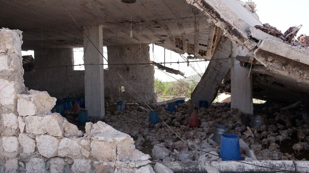 Rus Uçaklarının Bombardımanı İdlib\'te Bir Aileyi Yok Etti
