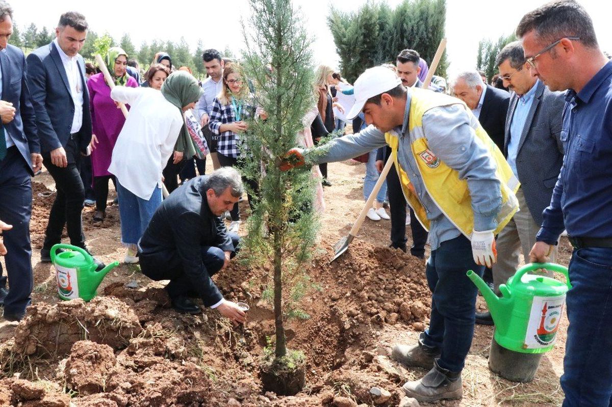 Şanlıurfa\'da \'Bir Bebek Bir Fidan\' Projesi