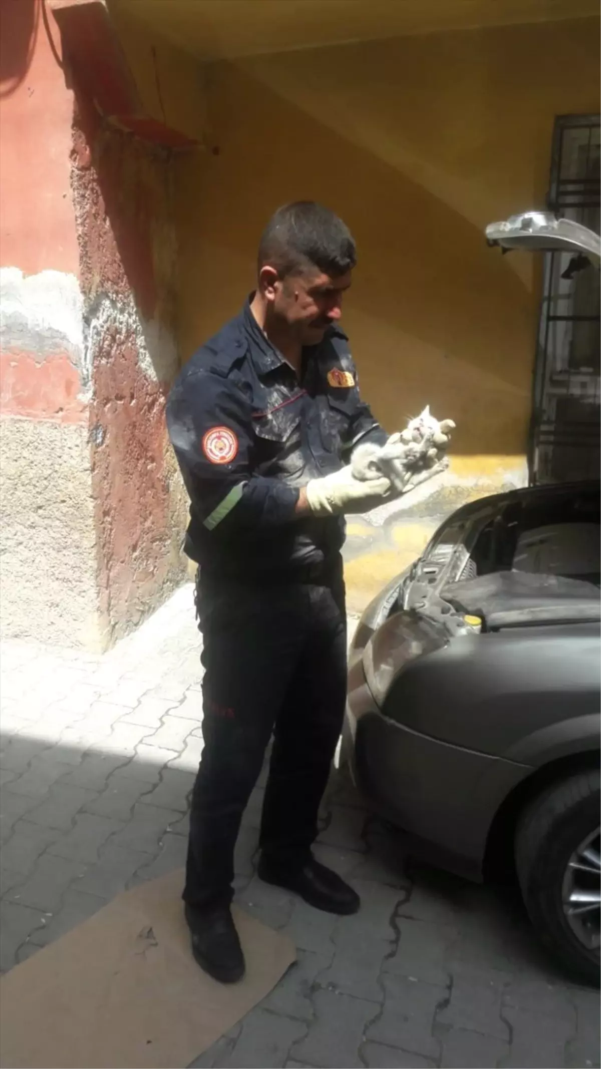 Şanlıurfa\'da Otomobil Motoruna Sıkışan Kedi Kurtarıldı