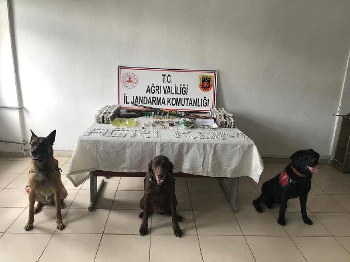 Ağrı\'da Uyuşturucu Operasyonu: 18 Gözaltı