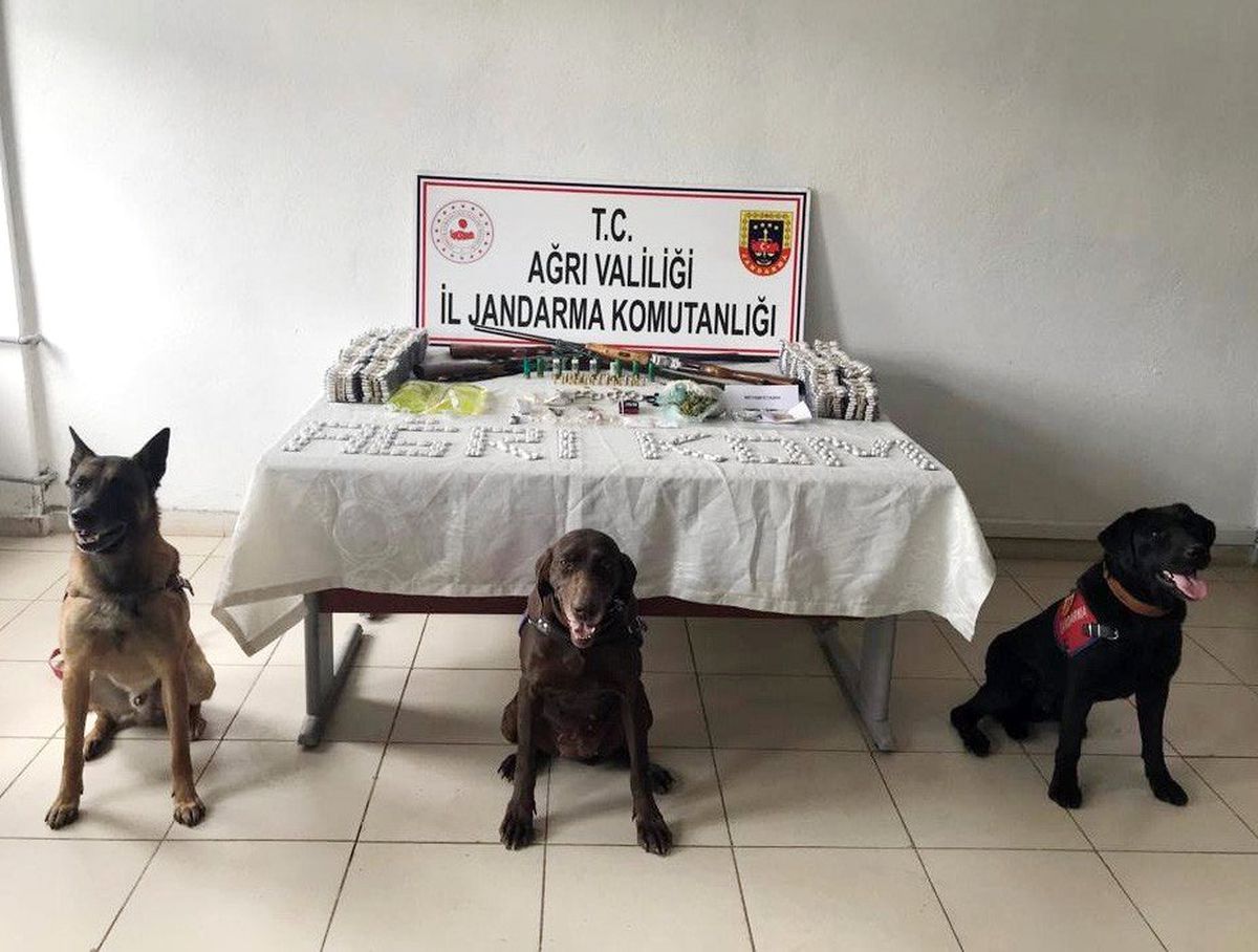 Ağrı\'da Uyuşturucu Operasyonu: 18 Gözaltı