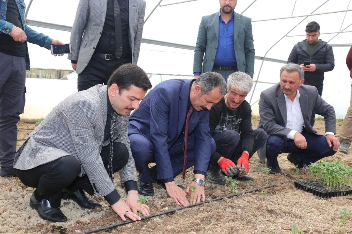 Başkan Tanış, Fideleri Toprakla Buluşturdu