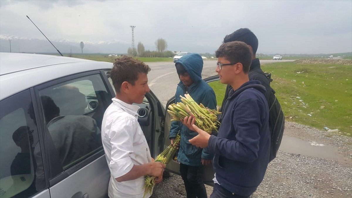 Çocuklar Okul Harçlıklarını Yayla Muzundan Çıkarıyor
