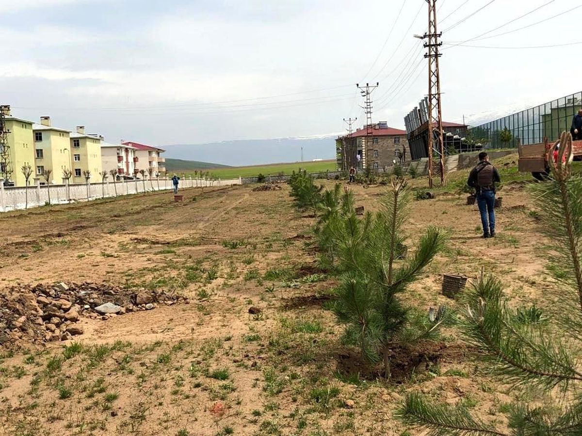 Güroymak\'ta Yeşillendirme Çalışmaları