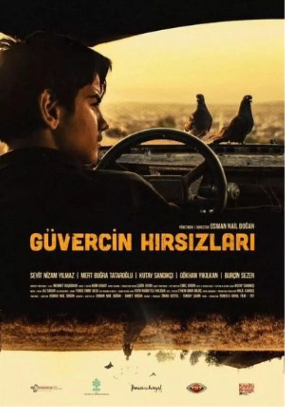 Güvercin Hırsızları Filmi