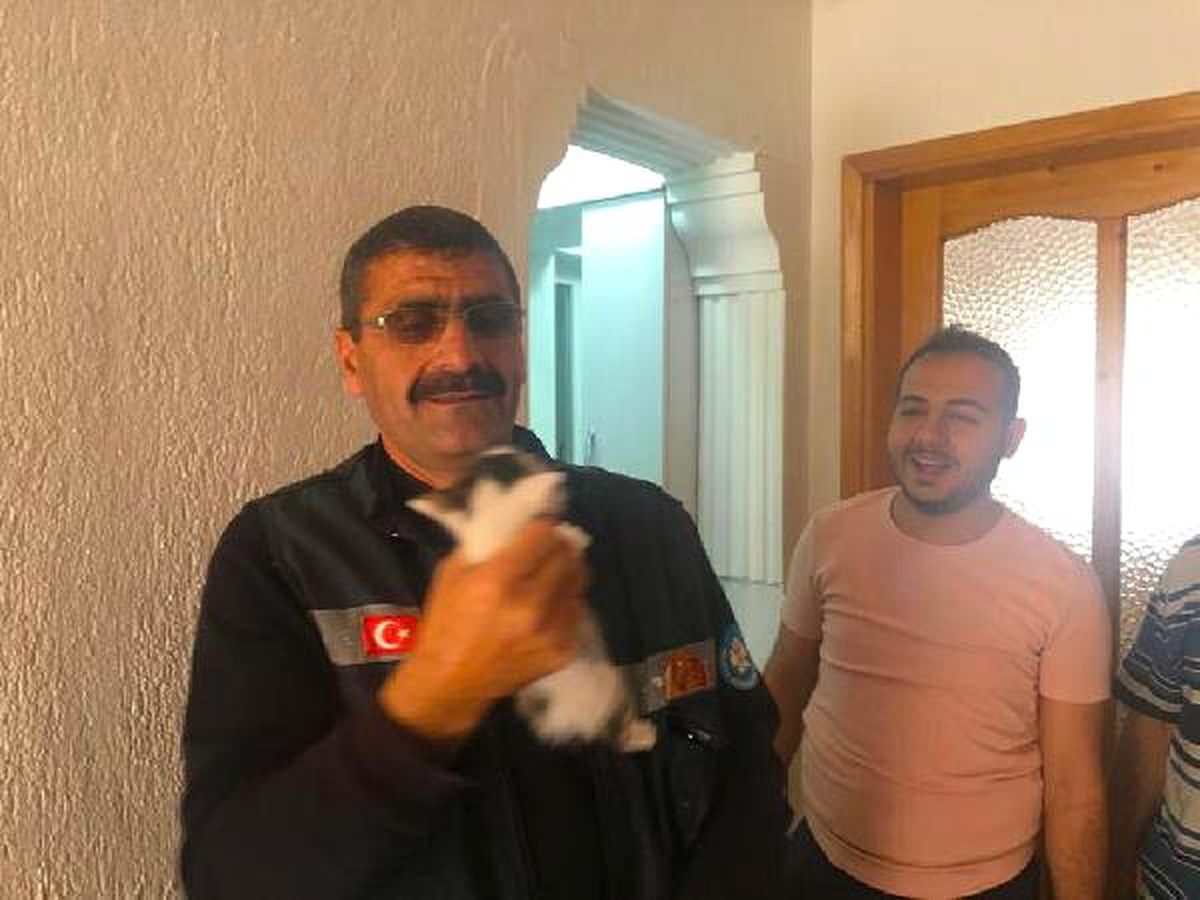 Havalandırma Bacasına Düşen Yavru Kediyi İtfaiye Kurtardı