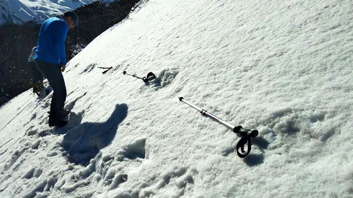 Hindistan Ordusunun \'Yeti\' Keşfine Nepal\'den Yanıt: "Ayıdır O Ayı"