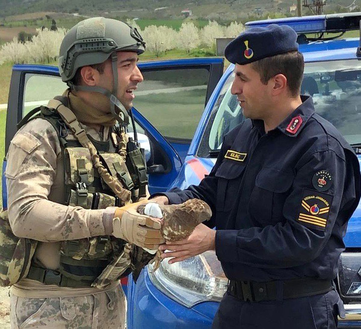 Komandolardan Yaralı Şahine Şefkat Eli