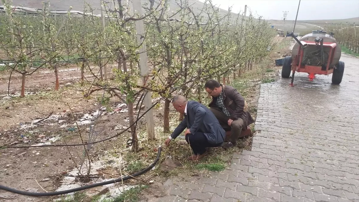 Niğde\'de Dolu Meyve Ağaçlarında Hasara Neden Oldu