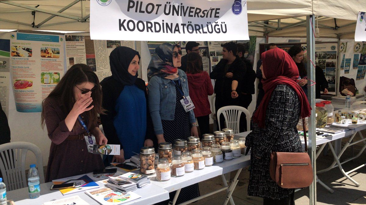 Pilot Üniversite Projeleri Halka Tanıtıldı