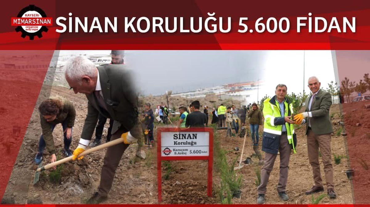 Sinan Koruluğu\'nda İlk Fidanlar Toprakla Buluştu