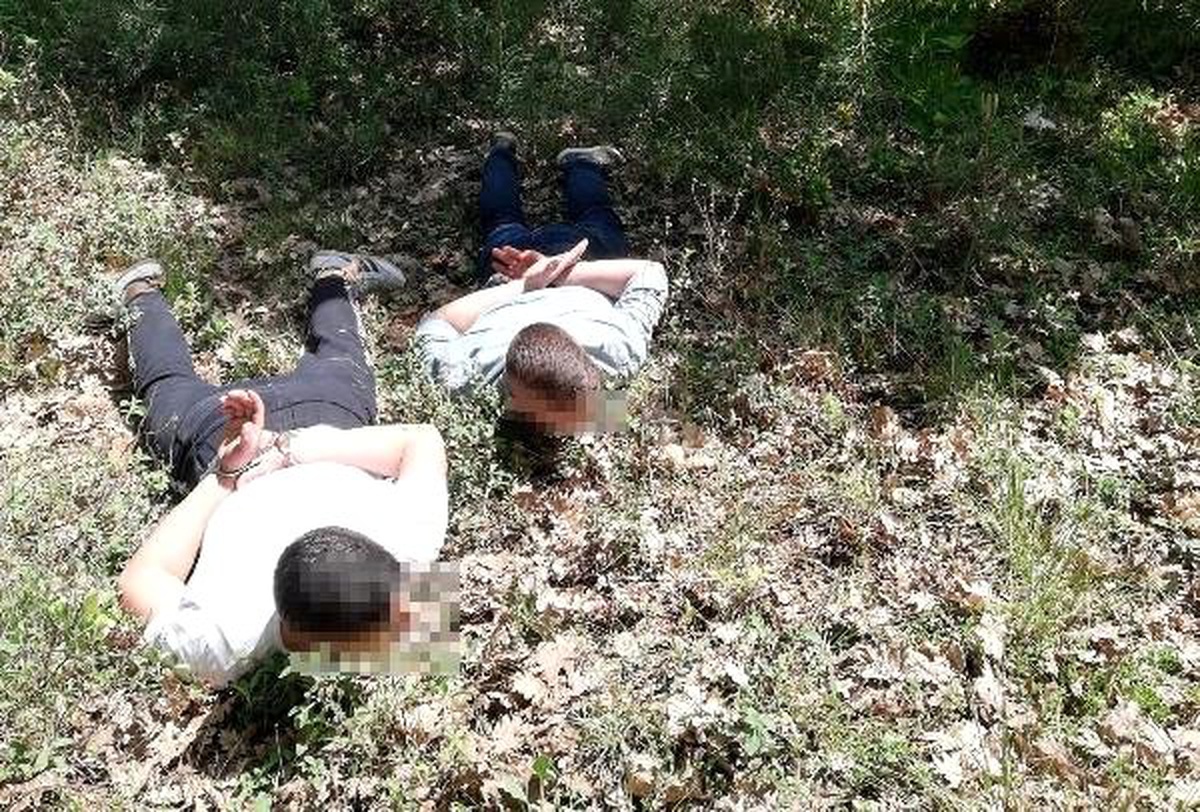 Suçüstü Yakalanan Baz İstasyonu Hırsızları Serbest Kaldı