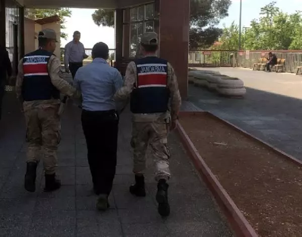 Tilki Fatih’ Yayla Evinde Yakalandı Son Dakika