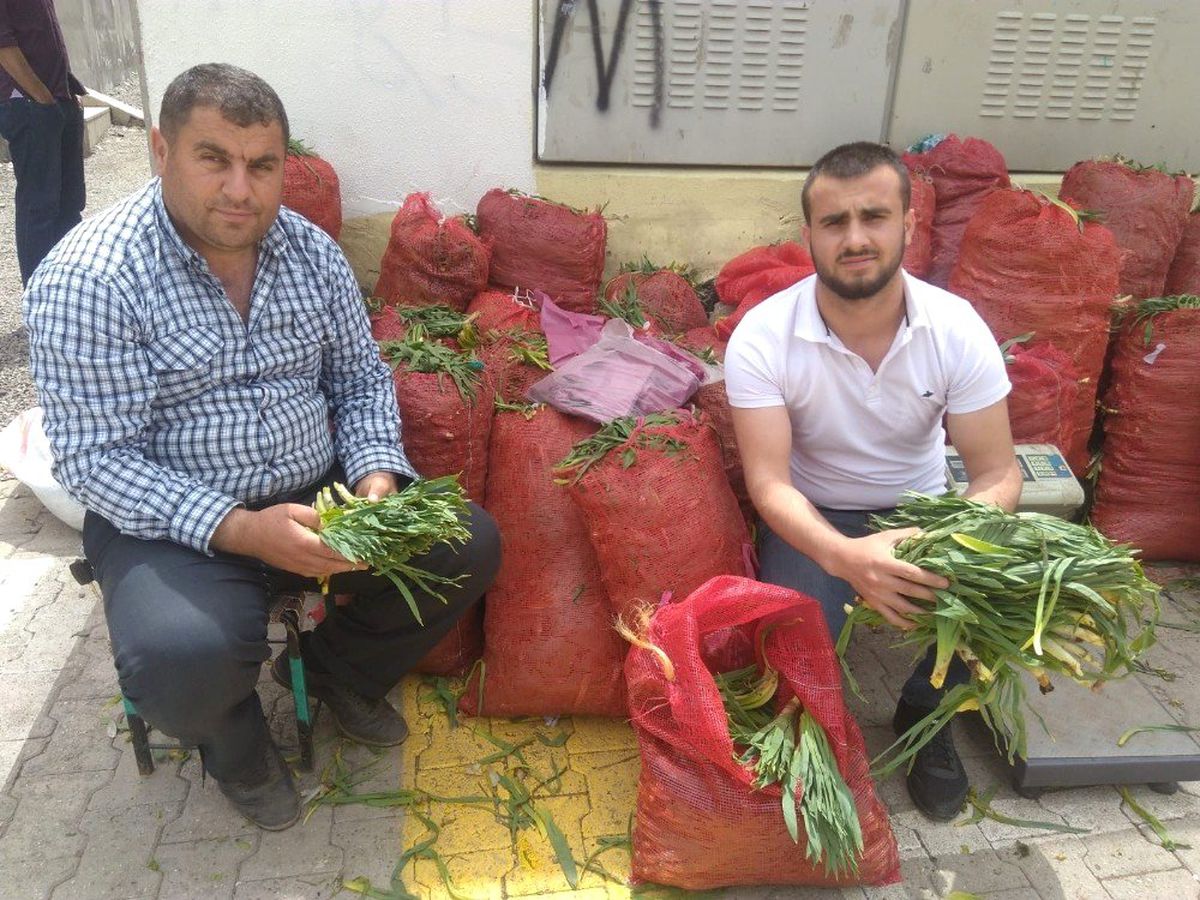 Topladıkları Bitkileri Satarak Aylık 6 Bin Lira Kazanıyorlar