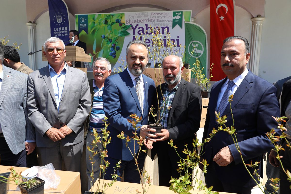 Üretici \'Yaban Mersini\' İle Kalkınıyor