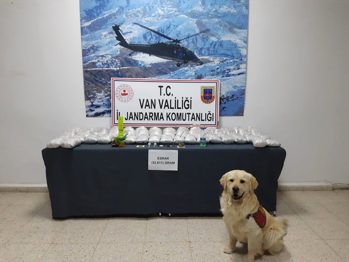 Van\'da Uyuşturucu Operasyonu