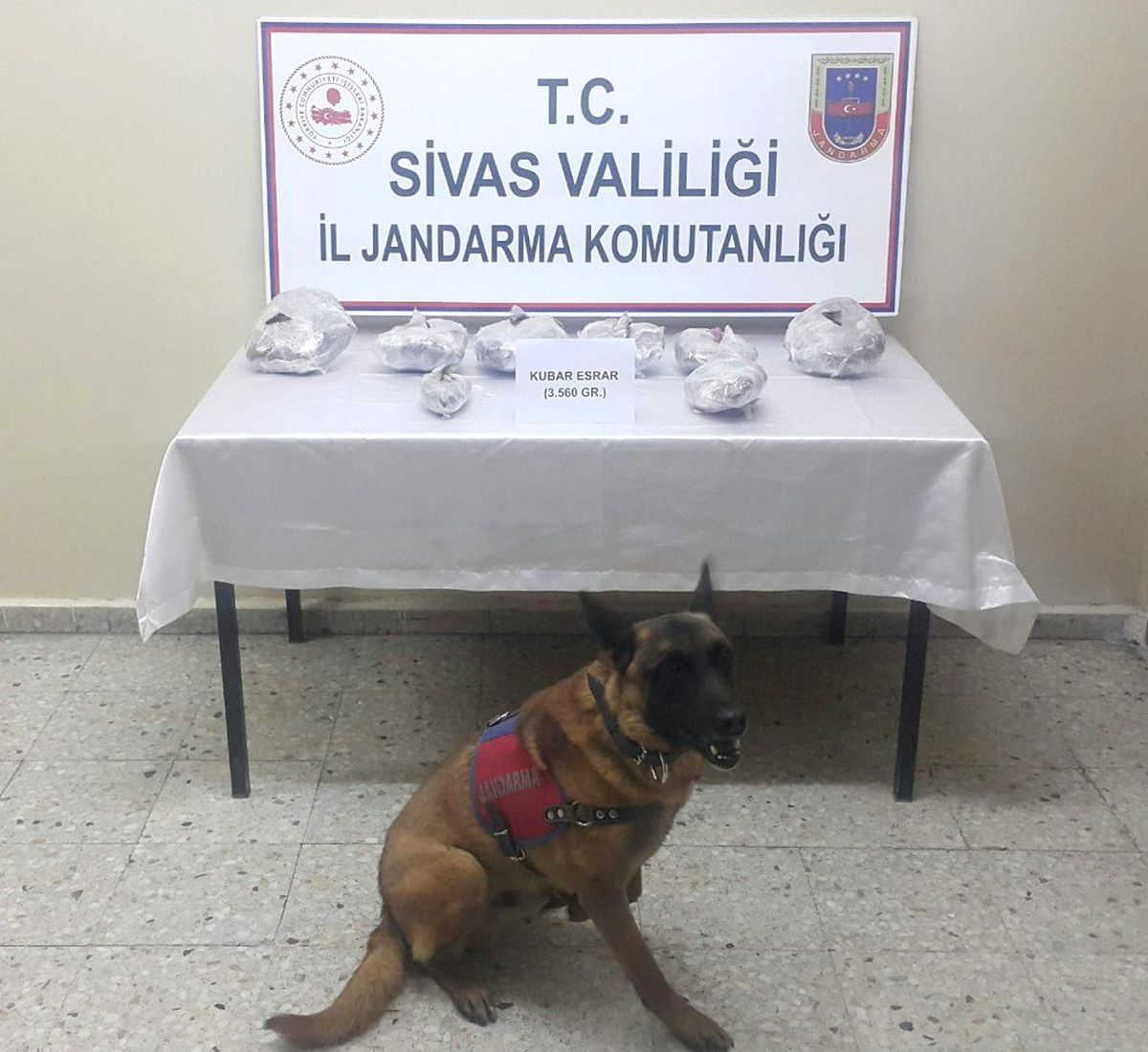Zula da Ki Uyuşturucusu Jandarma Köpeği Buldu