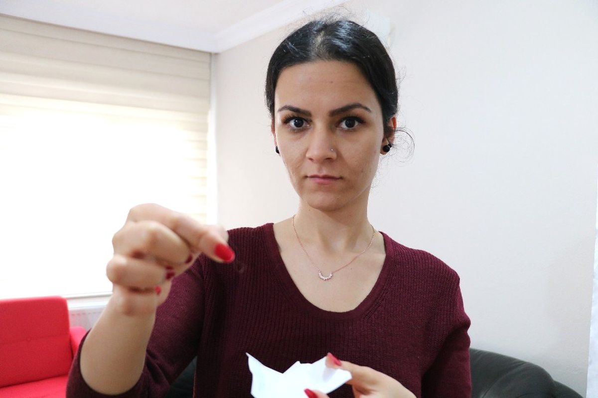 Anestezi ile Gelen Köpek Ölümü Yargıya Taşındı